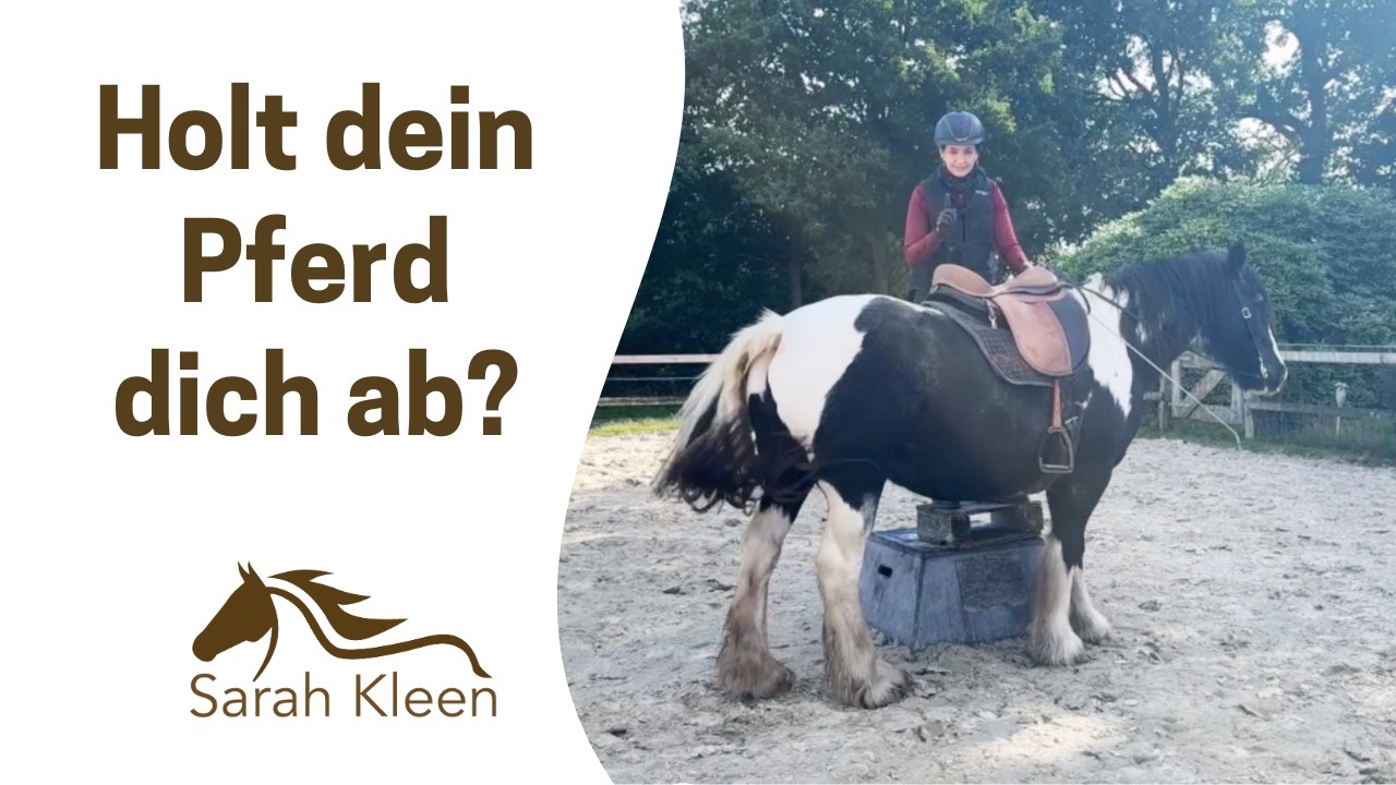 Wie kannst du SICHER aufsitzen? ⎜Angstreiter ⎜ Sarah Kleen