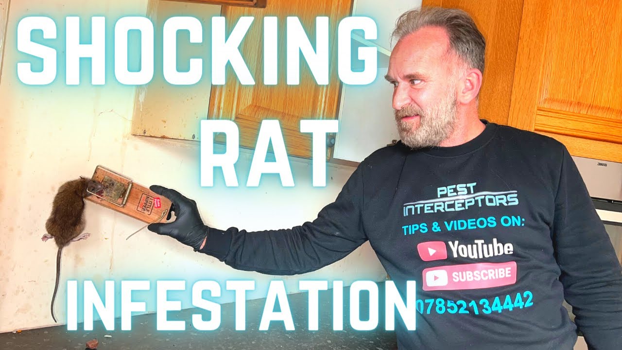 EXTREME RAT DIVISION сталкивается с САМЫМ БОЛЬШИМ ПРОБЛЕМОЙ!!!