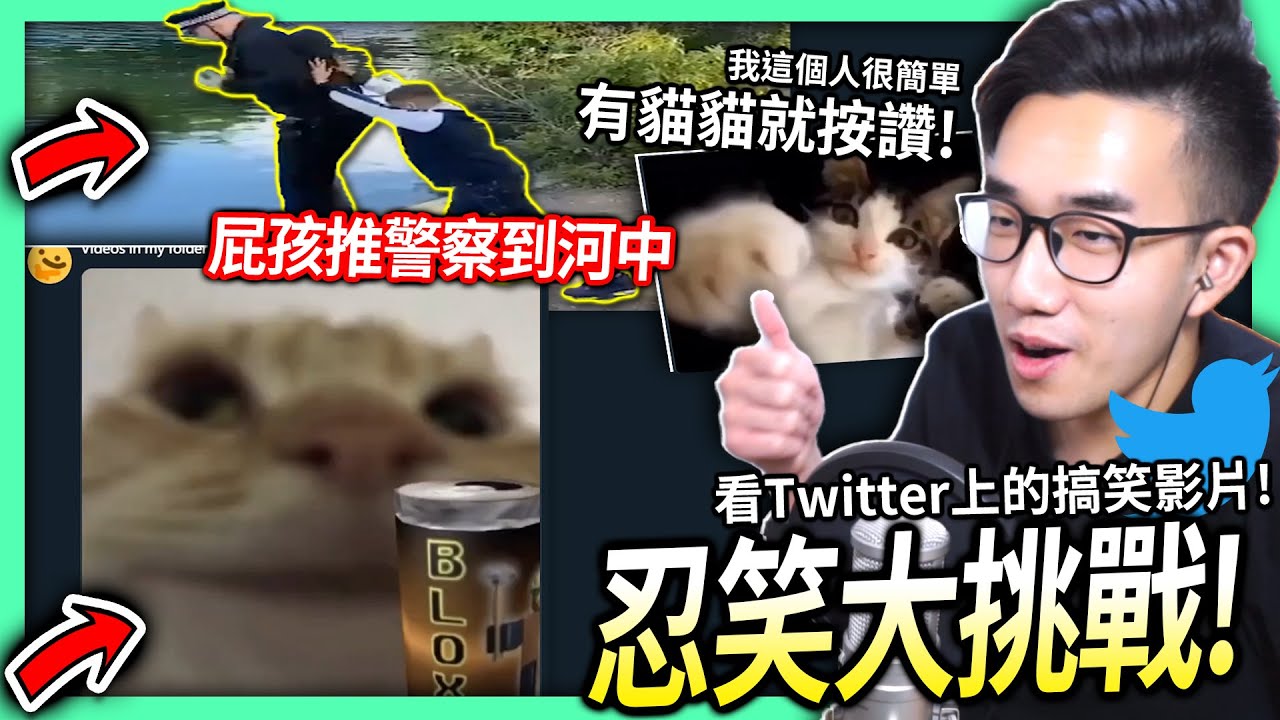 【有感筆電】忍笑大挑戰#04：看Twitter上的搞笑影片！我最愛看貓貓耍笨了！😹【暑假狂出片 訂閱下去】