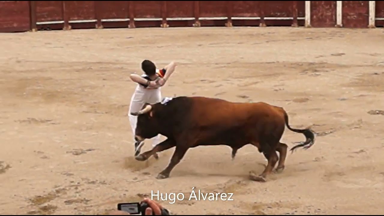 Belmonte de Tajo 2025