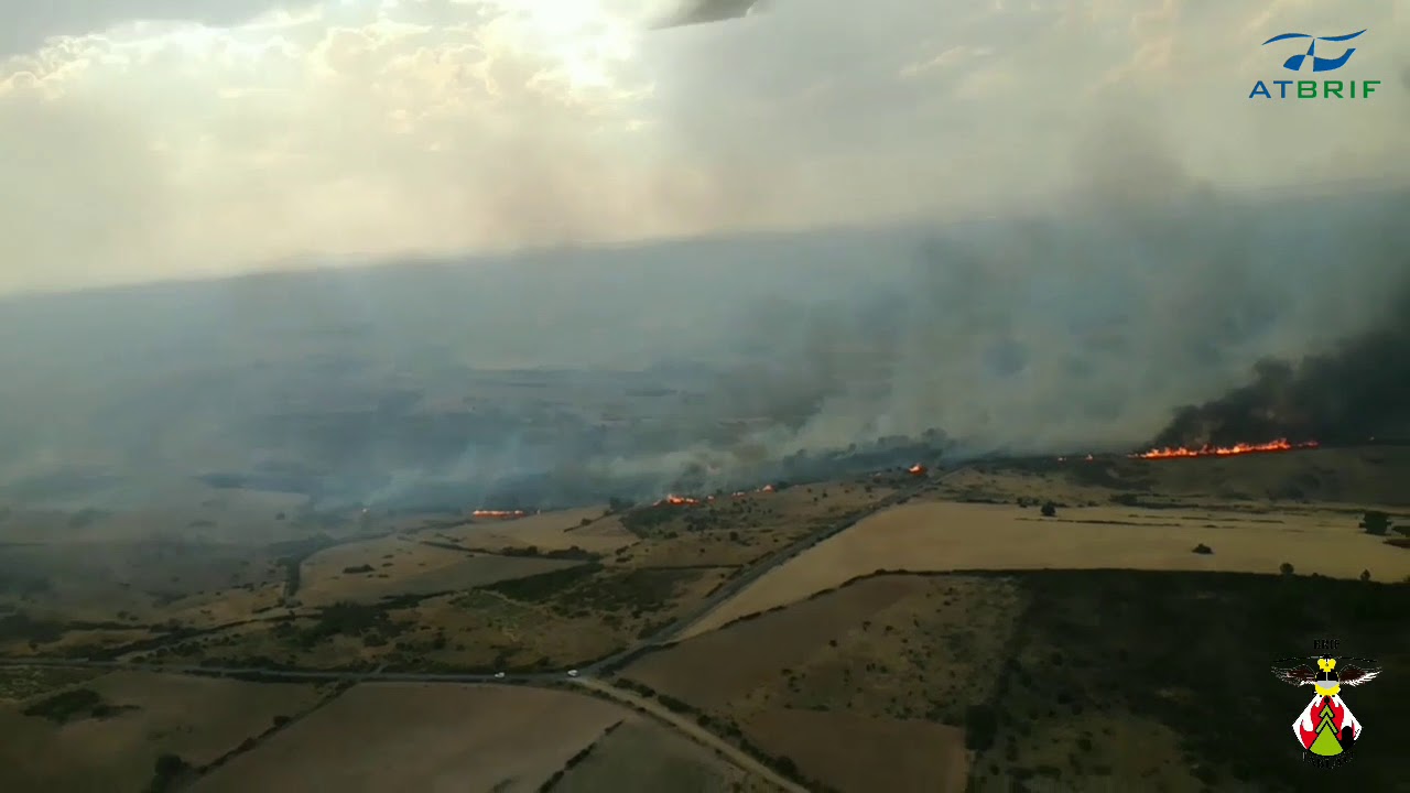 26-08-2017 IF Fermoselle (BRIF Tabuyo)