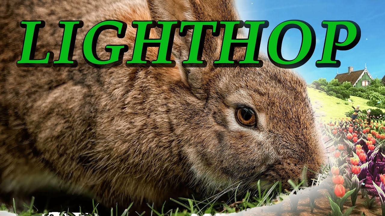 LIGHTHOP: Hunted By Cats [Metroidvania Month #27]