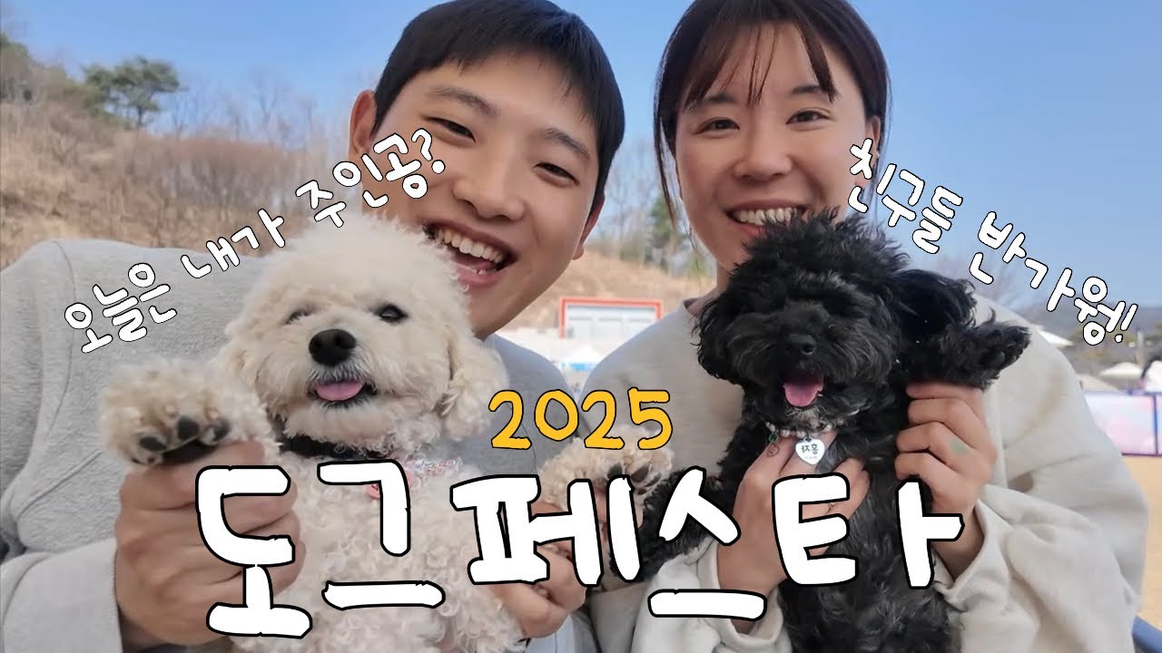 이게 진정한 개판 아닐까요?🐶 강아지들이 가장 좋아 하는 냄새는?!?! /2025 도그페스타 솔직후기!!!!!