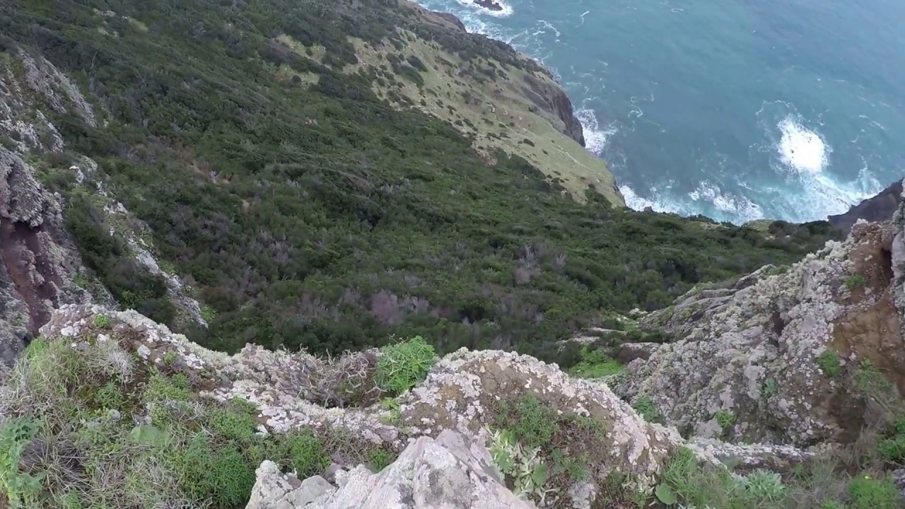 Madeira Levada Walks  