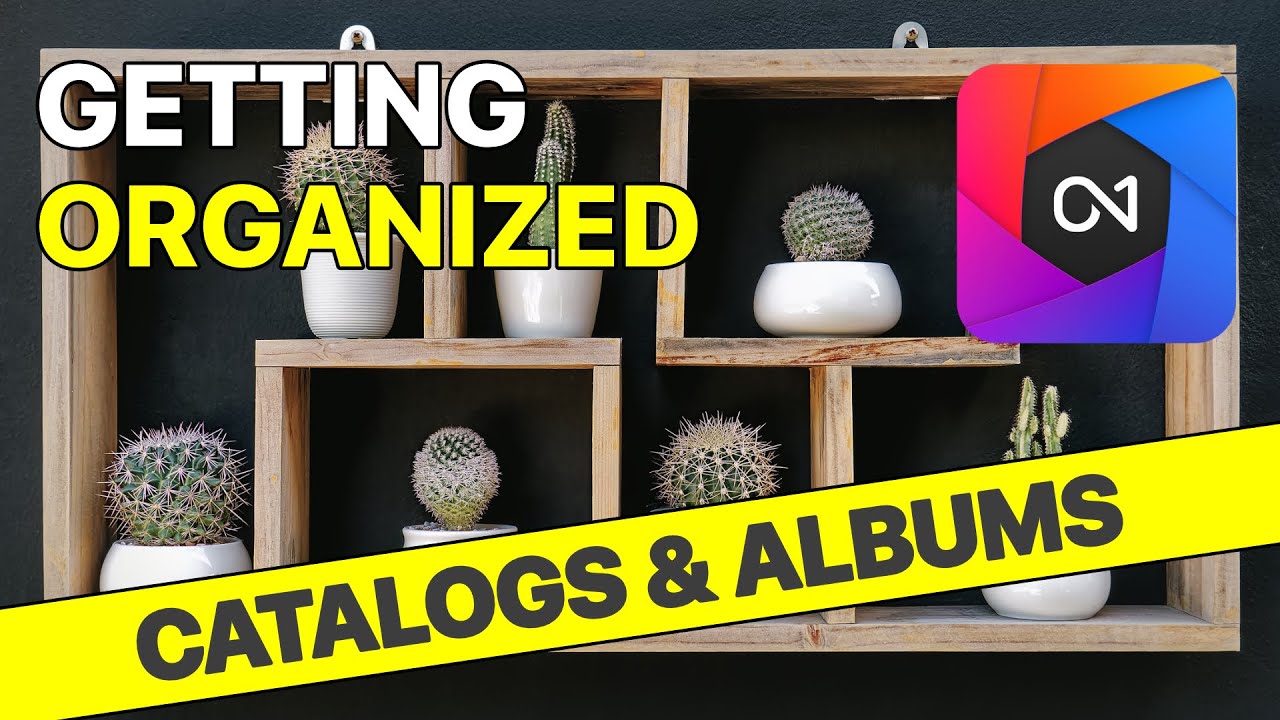 Organization  Catalogs & Albums