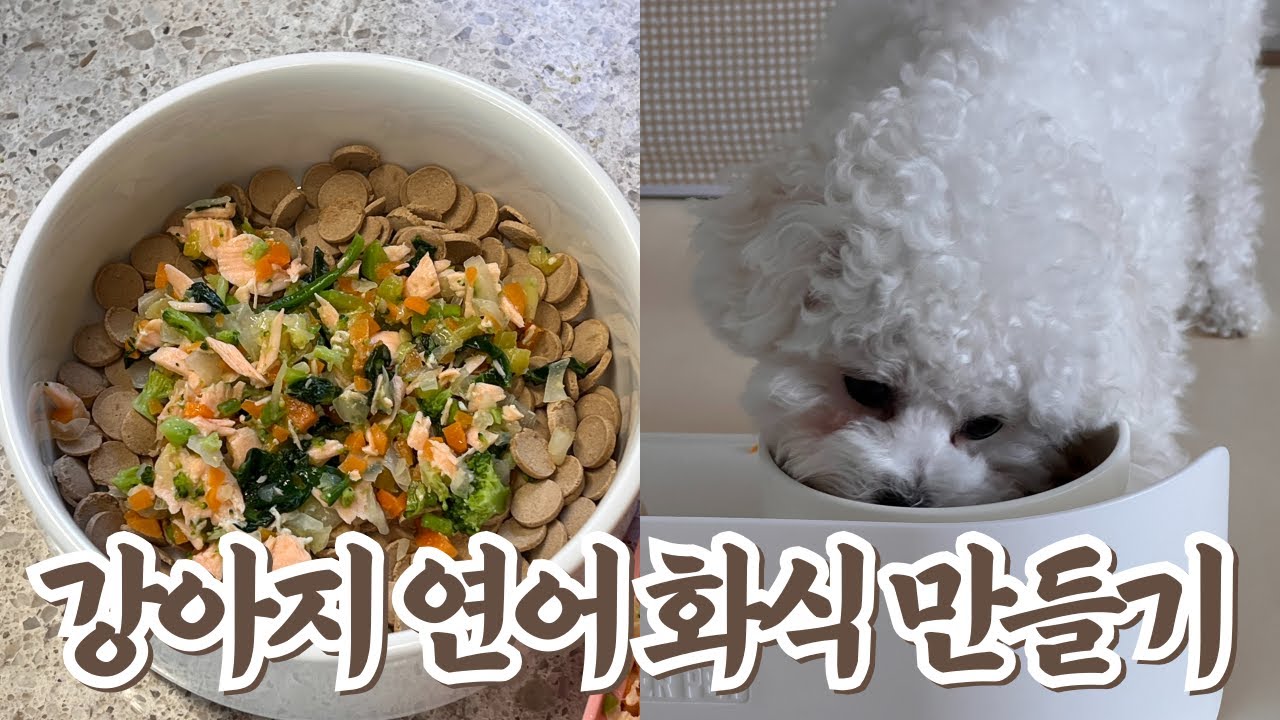 강아지 연어 화식 만들기