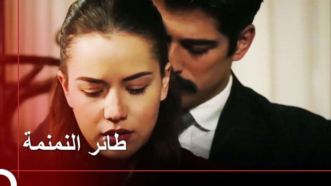 اعتراف كبير من كامل لفريدة | طائر النمنمة