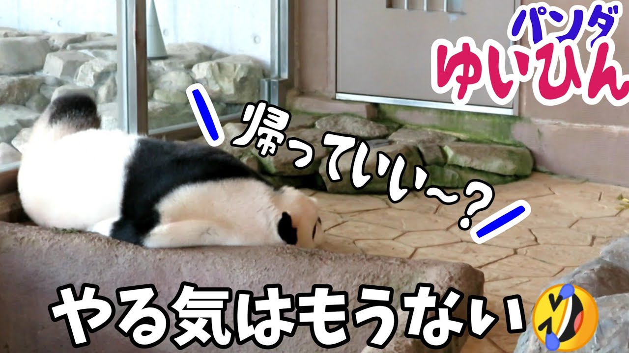 今日はもうおしまいにする結浜🎀ちょっぴりおとぼけ？楓浜🍁