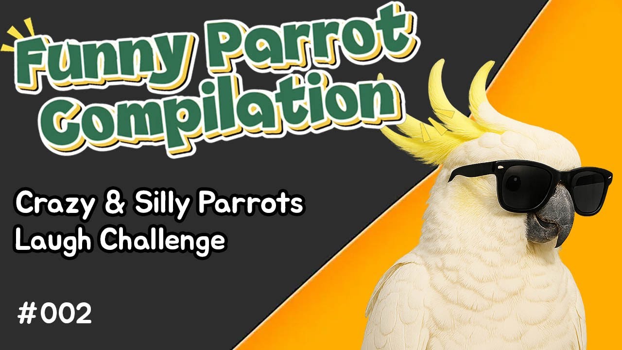 Best of Crazy Parrots | Cute & Silly Parrot Compilation