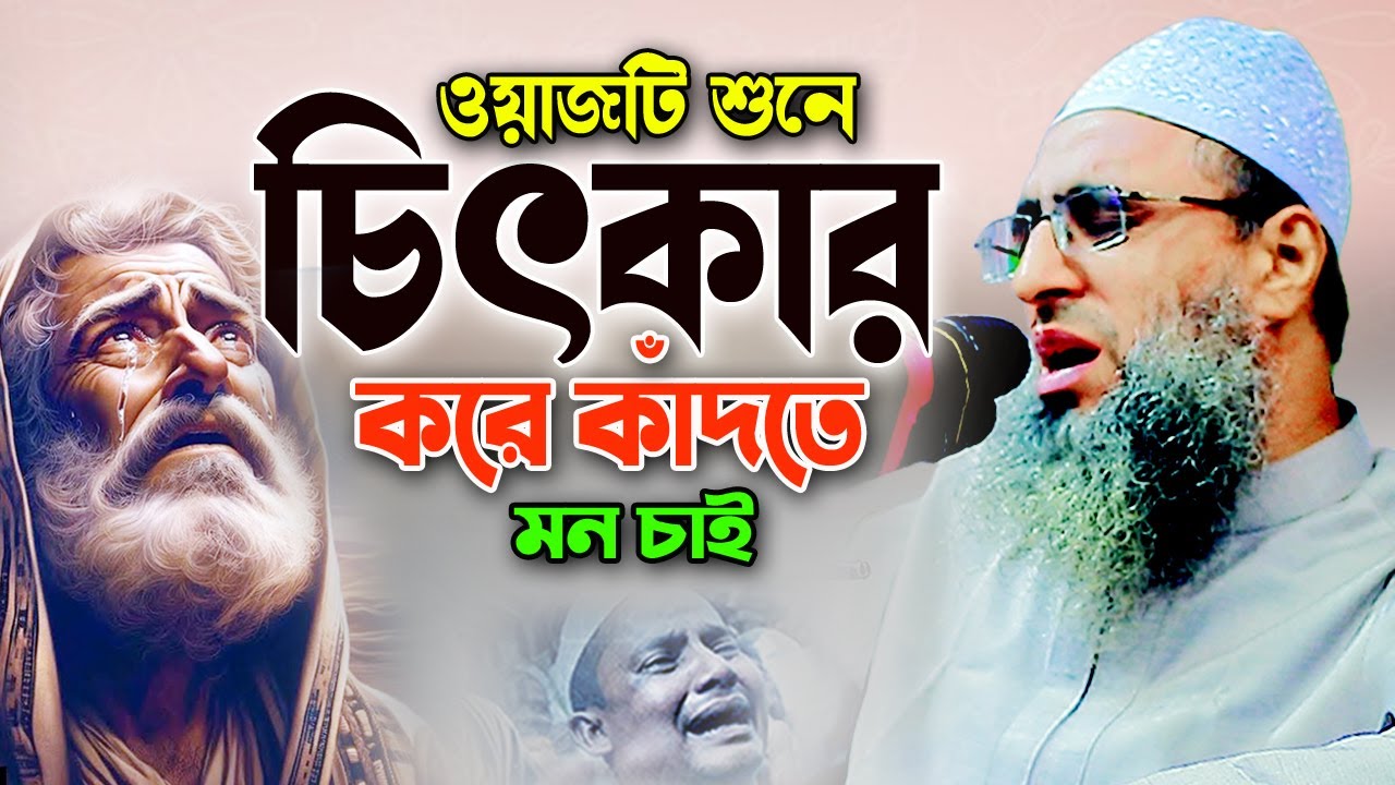 পাথর হৃদয়ও গলে যায় যে ওয়াজ শুনে। আব্দুল মোমেন মুরাদাবাদী ওয়াজ ২০২৪। Abdul Momen Muradabadi New Waz