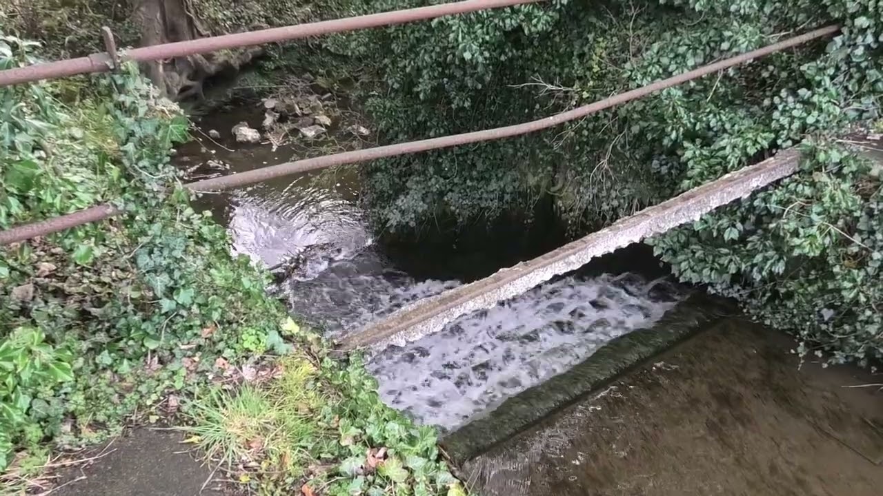 A brief exploration of the former Holwell Iron Works site.