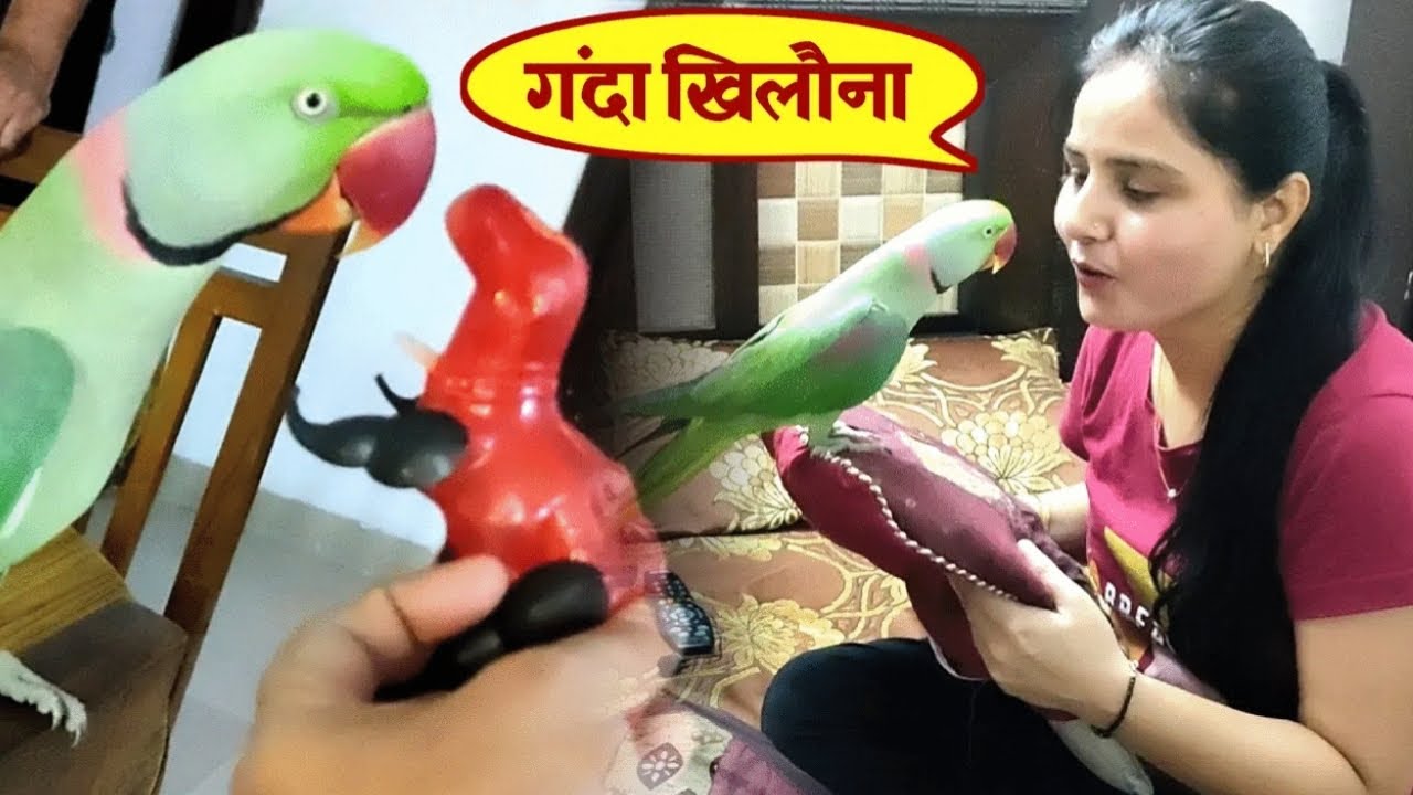 New Toy dhekh Pablo Parrot Ka talking Nahi Nikla kyu Rona 😂