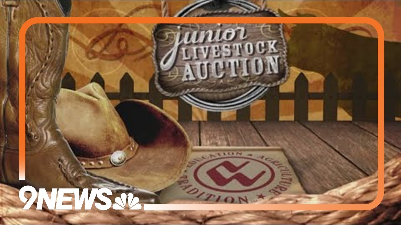 Full 2024 National Western Junior Livestock Auction