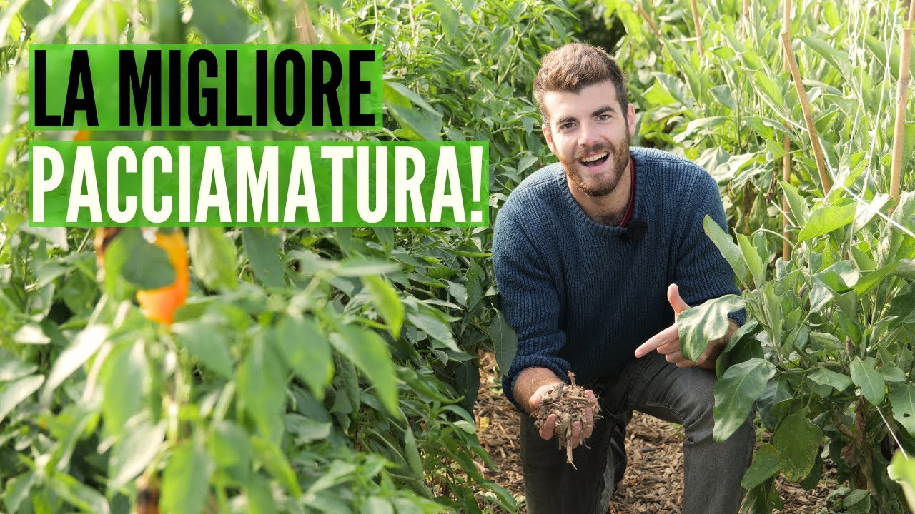 7 tipi di PACCIAMATURA, quale scegliere?