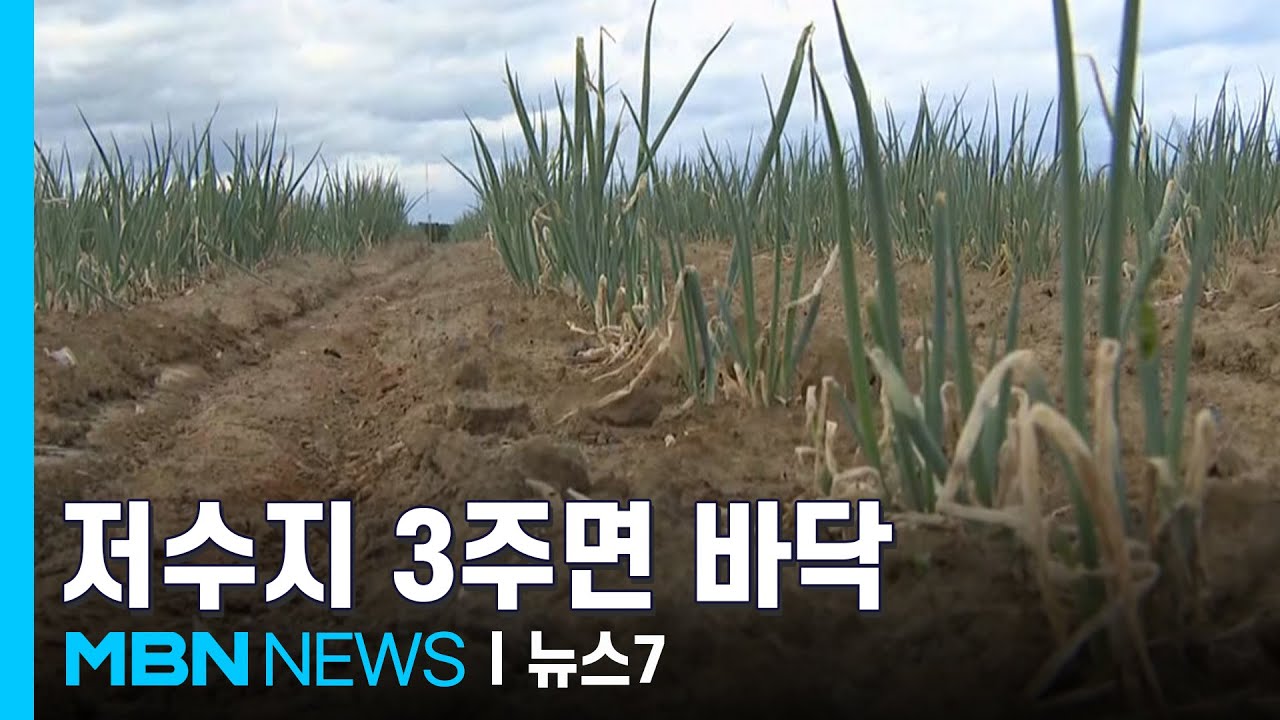 강릉 3주면 '물 바닥난다'…대책은 수도 더 잠근 채 하늘 바라보기 [MBN 뉴스7]