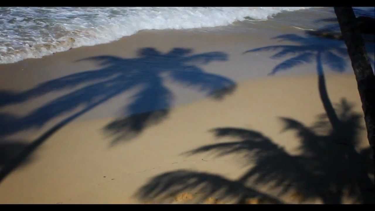 The North Coast of the Dominican Republic.