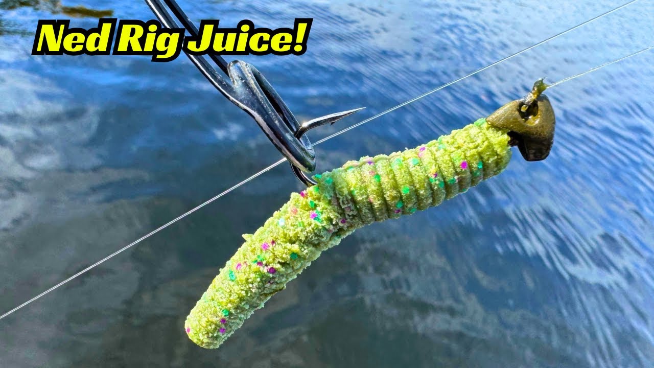 These Ned Rig Tips Will Turn A Bad Day Of Fishing Into a Good Day Fishing!