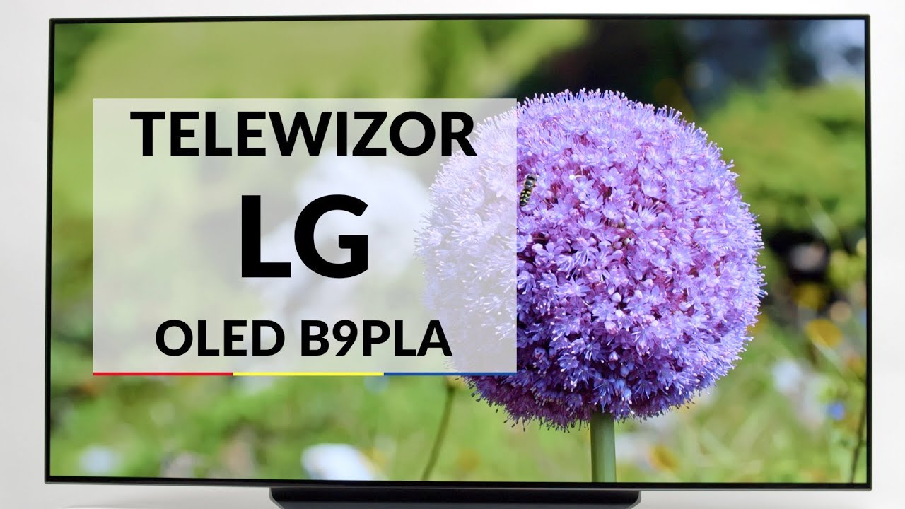 Telewizor LG OLED55B9PLA - dane techniczne - RTV EURO AGD