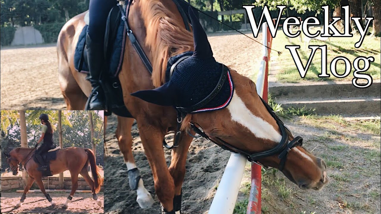 Weekly vlog al maneggio | 18/22 luglio | Pernilla Iperti
