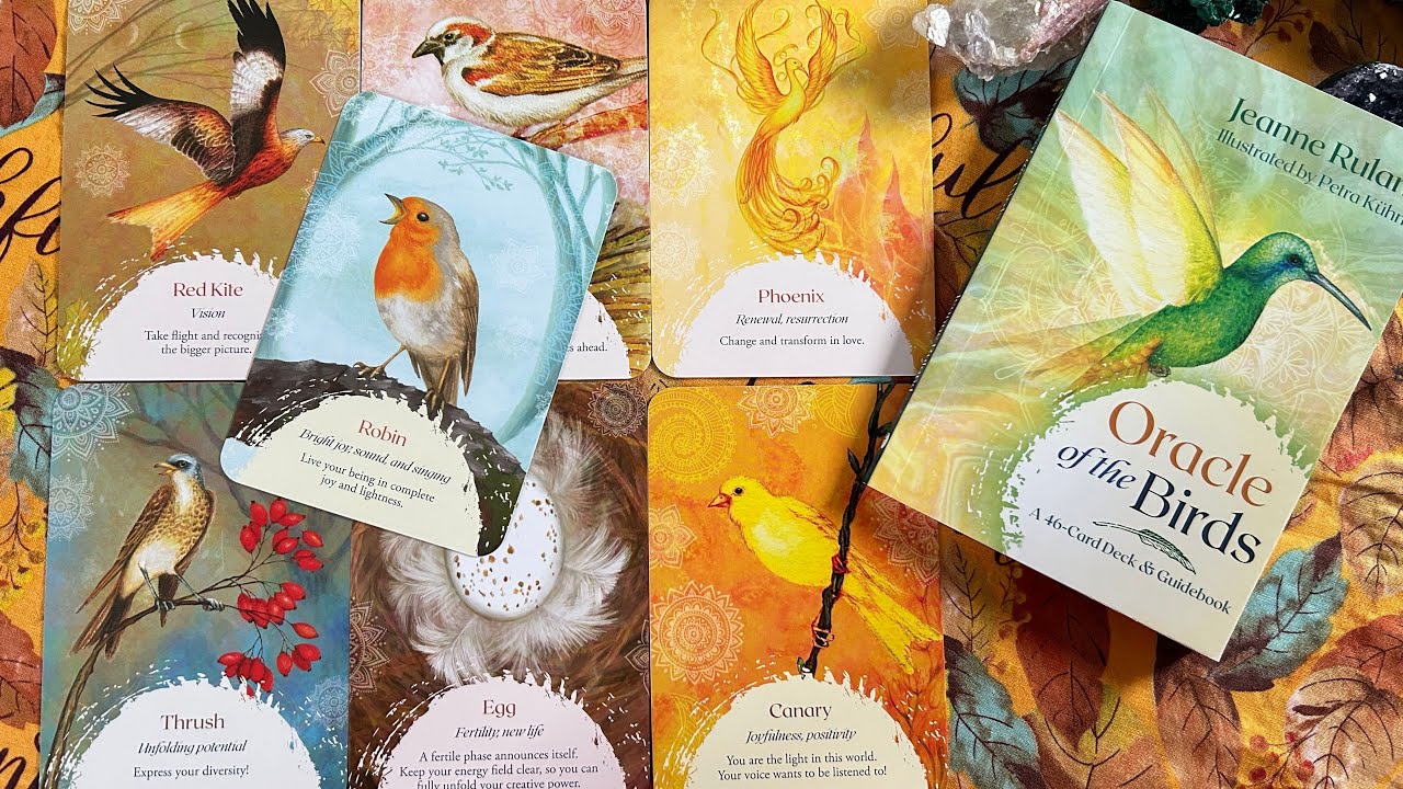Oracle of the Birds | Walkthrough, First Impressions, and Pairings