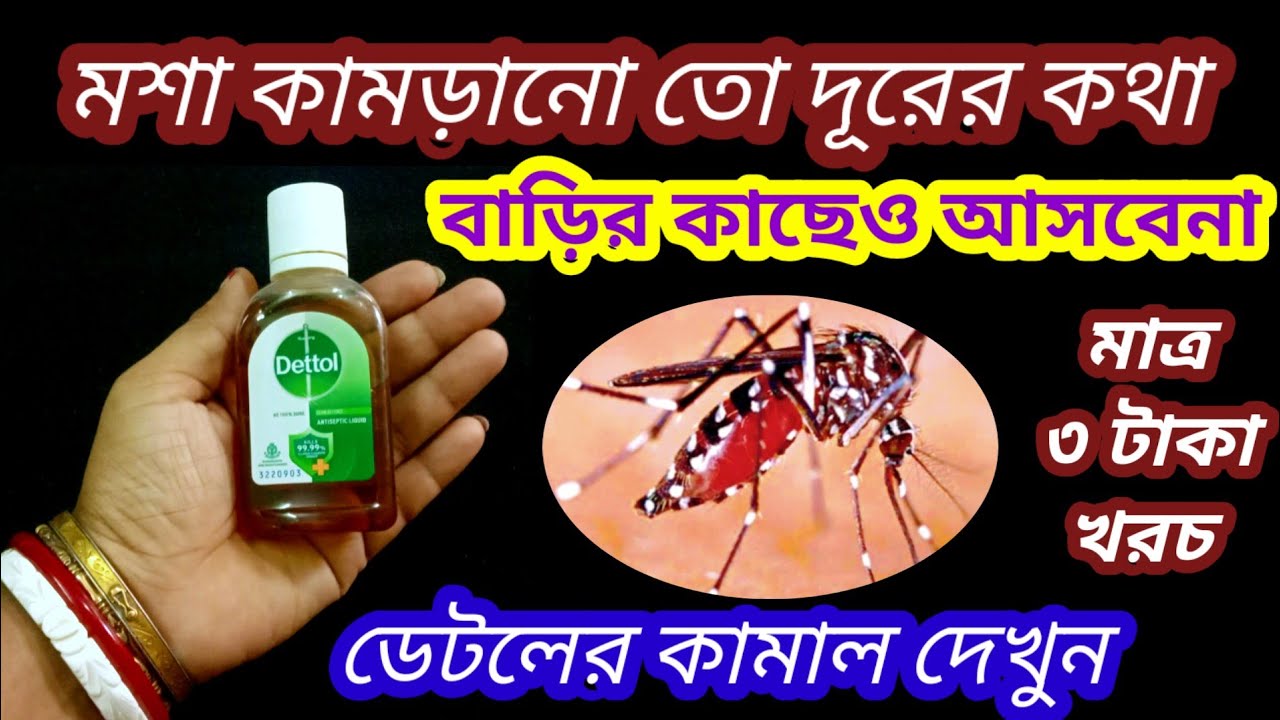 🔥কোন কেমিক্যাল বা কীটনাশক লাগবে না মশা তাড়াতে এই মিশ্রণটি যথেষ্ট🔥 Mosquito killer//cockroach killer
