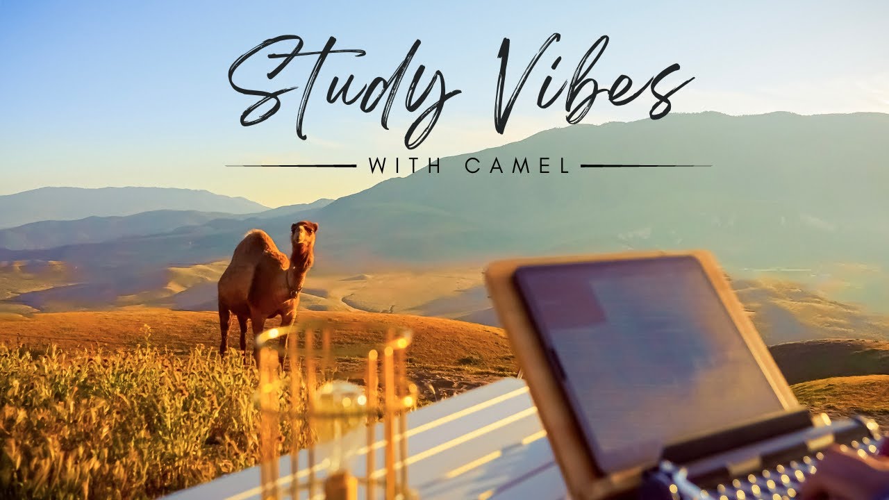 🐪💫 Dreamy Study Escape: Your Ultimate Camel Ranch Study Retreat! Soothing Ranch ASMR | 50/10 Timer