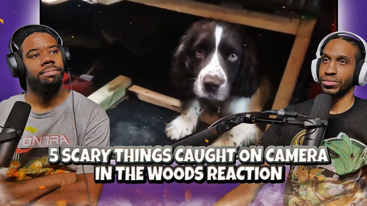 5 Scary Things Caught On Camera In The Woods (Nuke's Top 5) Reaction