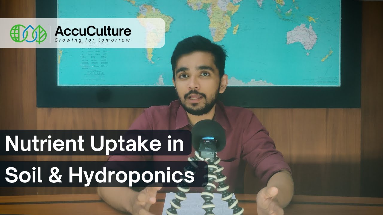Nutrient uptake in soil & hydroponics (in English)
