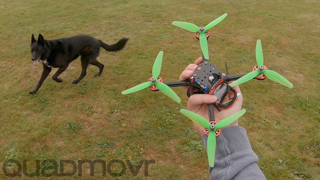 Dog chases Drone | aeon ul16 aurora2305 2500kv ethix s4 hqprop fettec esc 4in1 45a kiss fc v2 4s1300