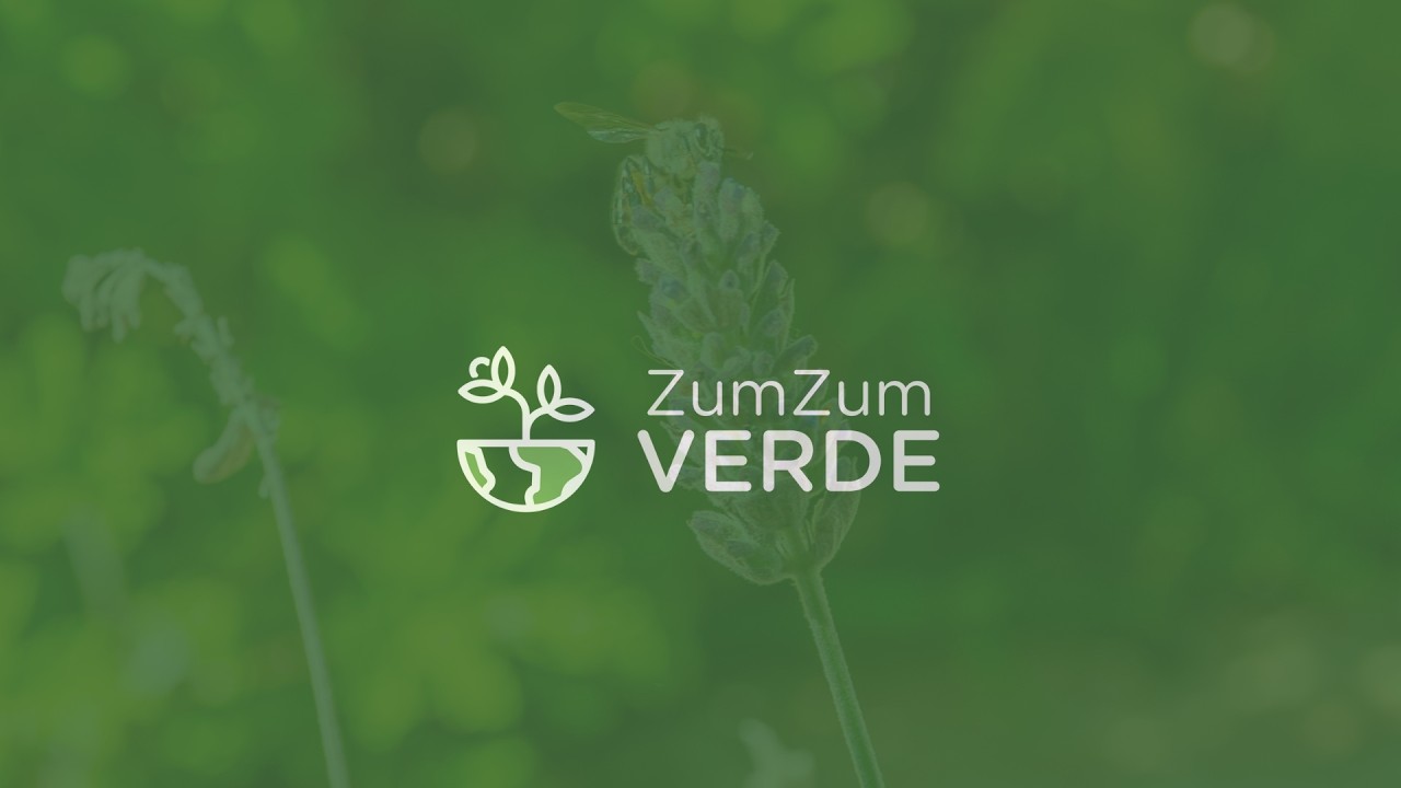 Conheça o ZumZum Verde