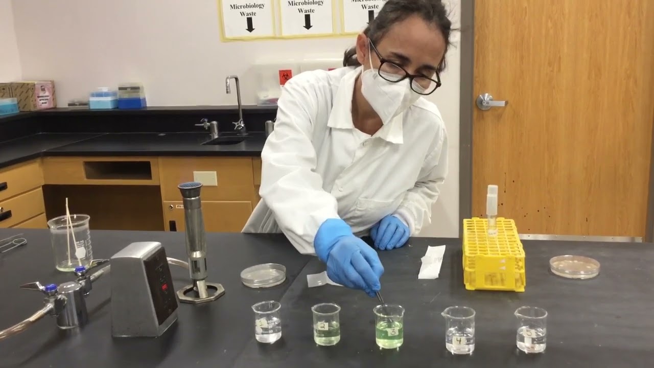 Efficacy of disinfectants test with the disk difussion method