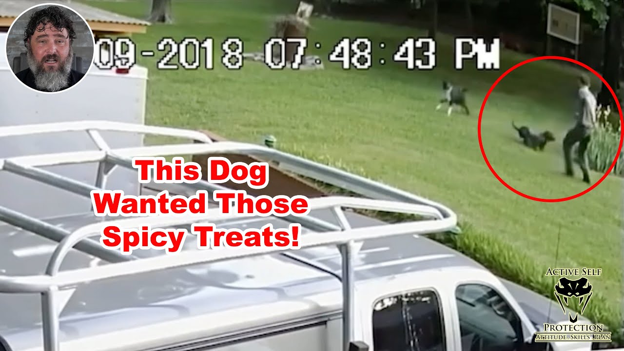 Dog Wanted To Use Man Like A Chew Toy And Instead Got The Spicy Treats