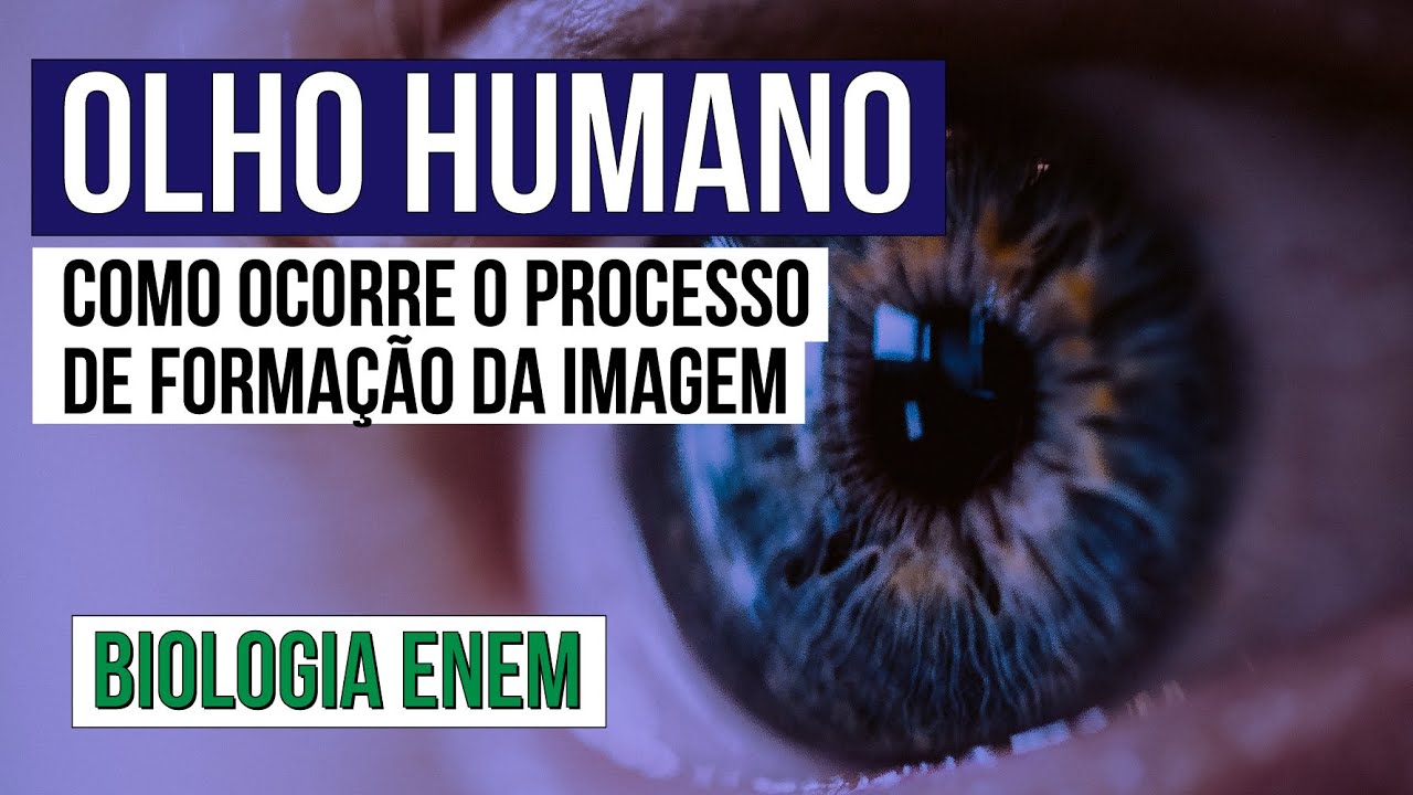 OLHO HUMANO: como ocorre o processo de forma&ccedil;&atilde;o da imagem? | Biologia para o Enem | Cl&aacute;udia Aguiar