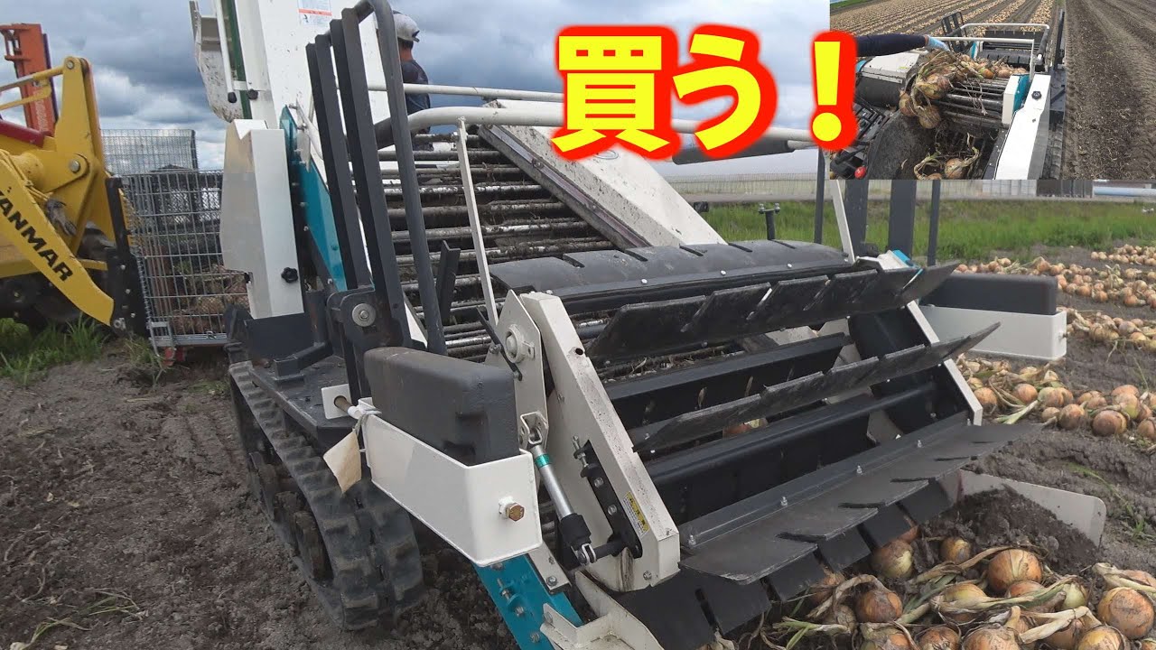 【会社員実家農業手伝う】2023クボタ玉ねぎピッカーとコンベアで中折ショベルとトラクターで運搬リフトでトラックへ