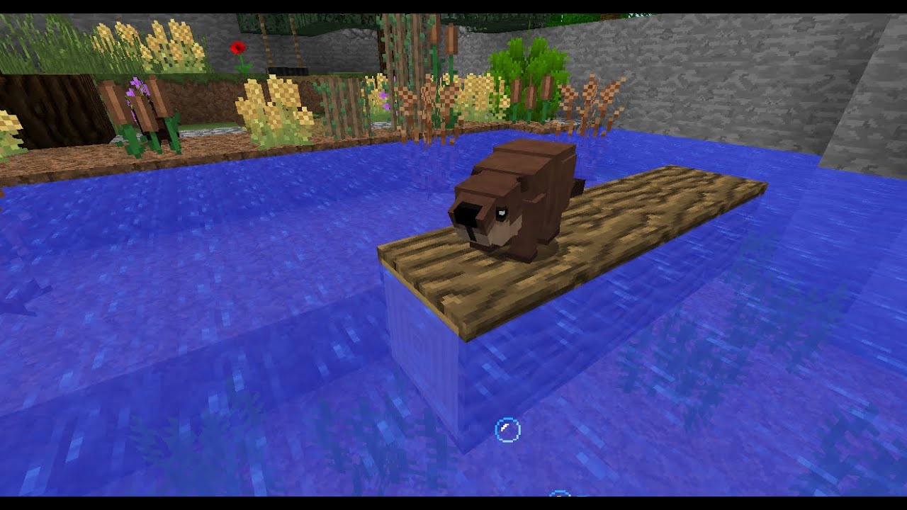 Minecraft Zoo Series Reboot episode 46: Small North American Animals!