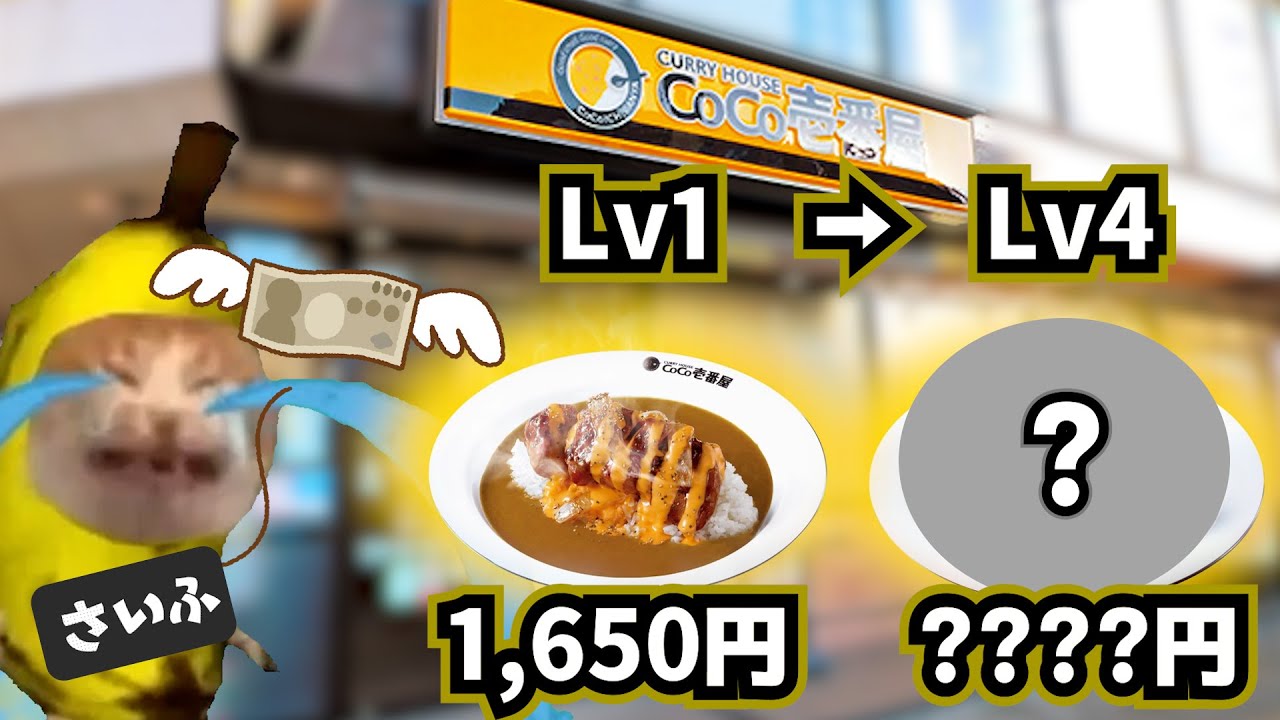 CoCo壱でデカい肉を食べた何気ない話【猫ミーム】