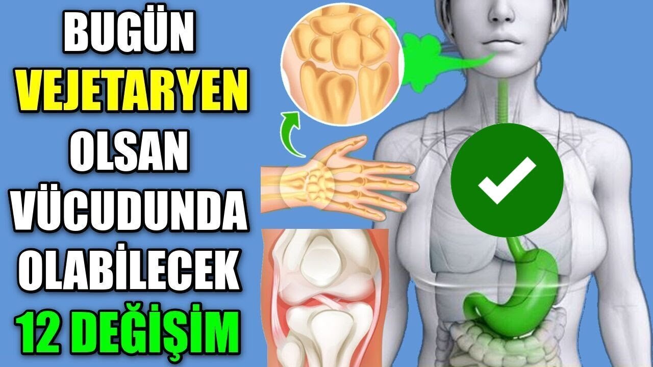 BUG&Uuml;N VEJETARYEN OLSAN V&Uuml;CUDUNDA OLABİLECEK 12 DEĞİŞİM
