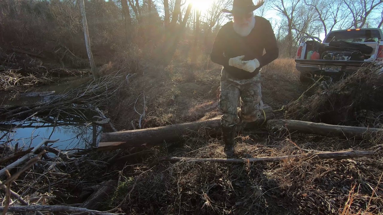 Chainsaw fun in the woods