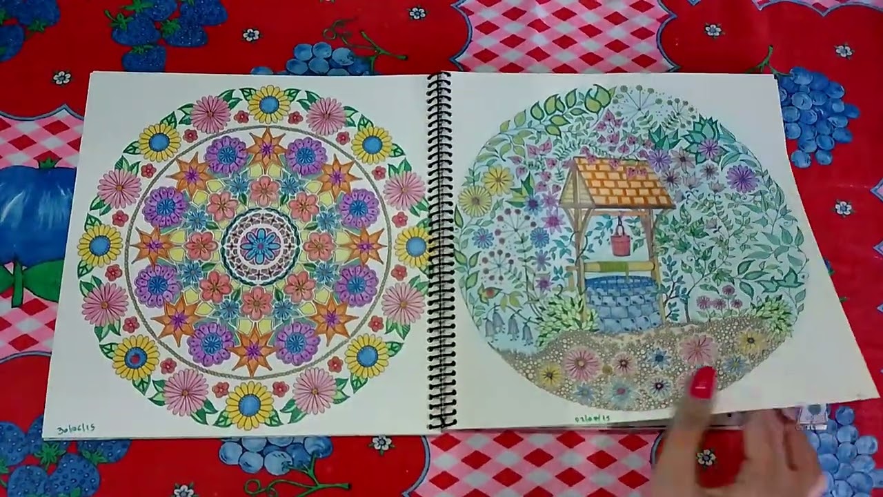 Livro de Colorir Jardim Secreto - Johanna Basford 💚 (concluído)