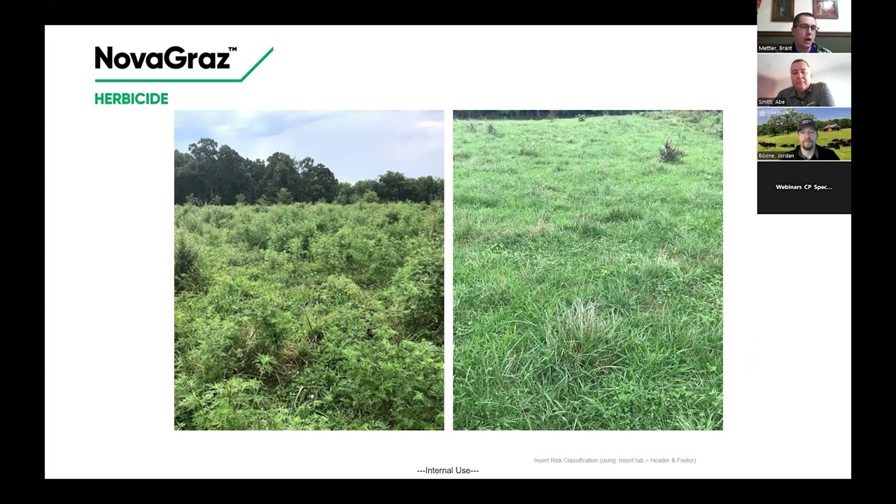 NovaGraz™ herbicide - The Only Herbicide to Control Your Weeds and Protect Your White Clover