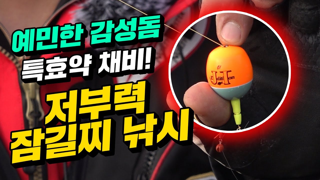 저수온기 감성돔낚시 이채비로 꼭한번 해보십시오 
