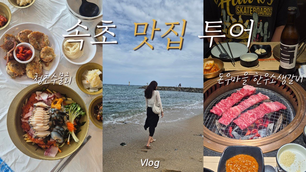 속초 체스터톤스 1박하며 근처 맛집뿌시기 😋 l 청초수물회 l 돈우마을 l 초당소금빵 l 주문진 순두부젤라또