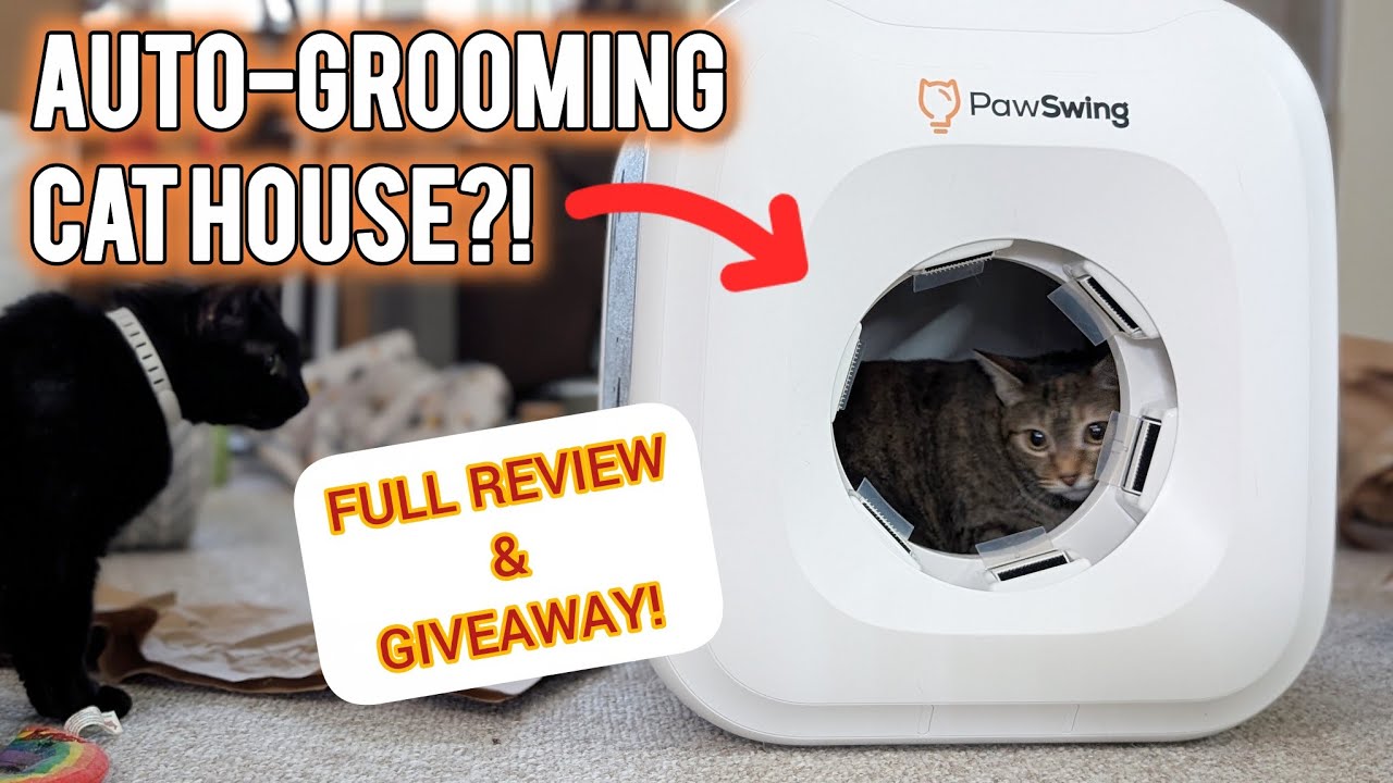 Я протестировала домик для ухода за кошками PawSwing Neo Autocomb — стоит ли он своих денег?