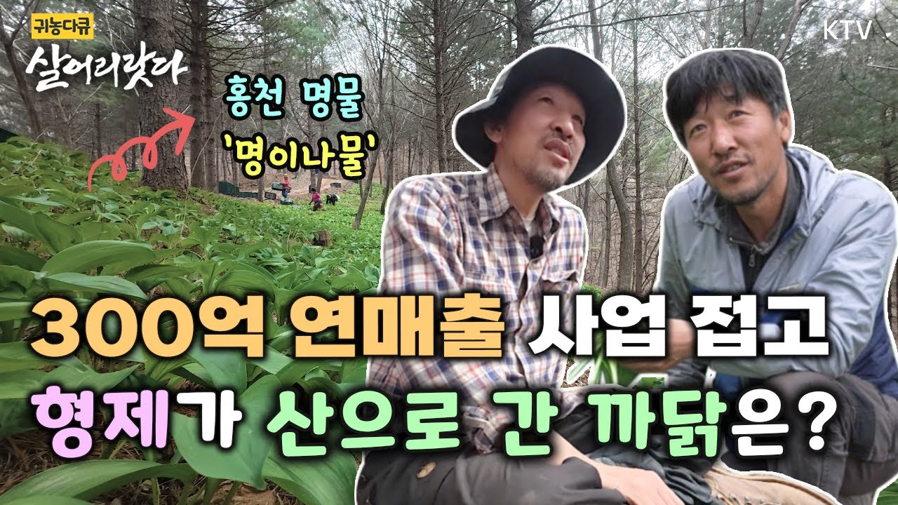 (강원 홍천/344회) 연매출 300억 사업 접고 형제가 산으로 들어온 사연! ㅣ#귀농귀촌 #산나물 #살어리랏다 #홍천군 #귀농다큐