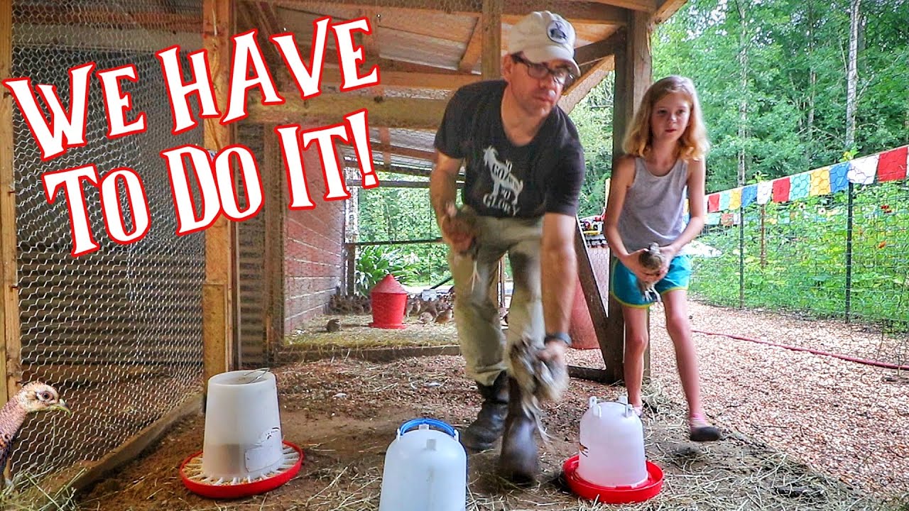 MAJOR Moves On The Farm! [We're Relocating The Farm Animals]