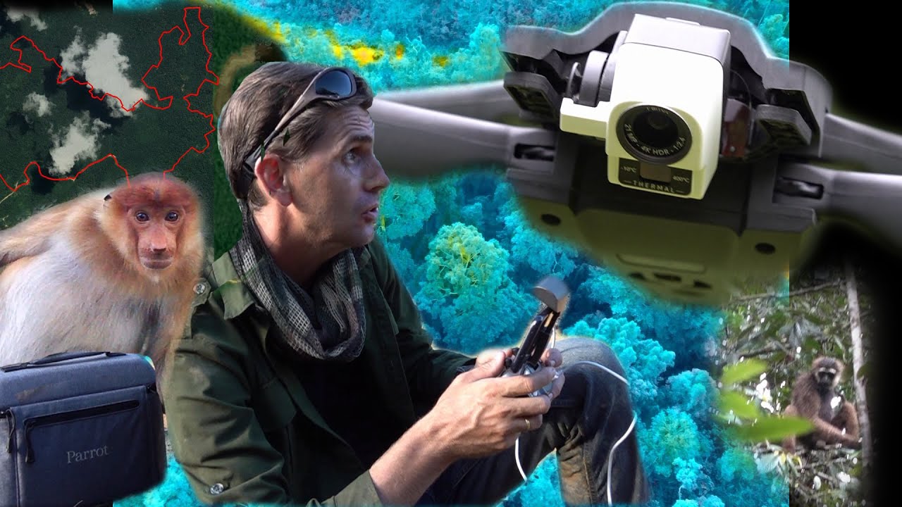 DRONE THERMIQUE POUR SAUVER DES ANIMAUX