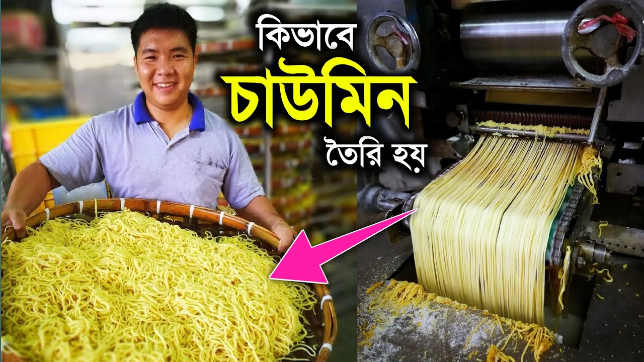 কিভাবে চাউমিন তৈরি হয় | Chowmein making | Chowmein making Machine | Chowmine | Noodles Maker