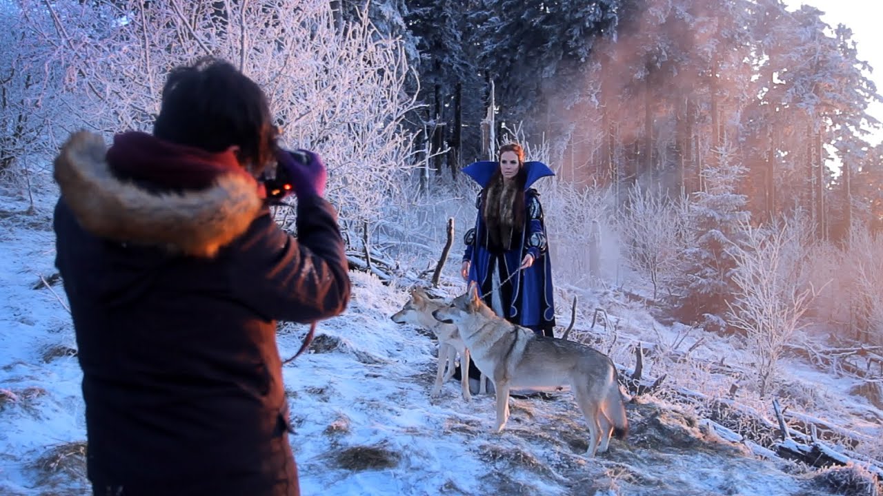Fotoshooting mit Wölfen im Schnee