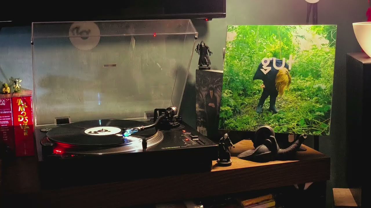 Gudrun Gut – Wildlife (Full Vinyl Spin)
