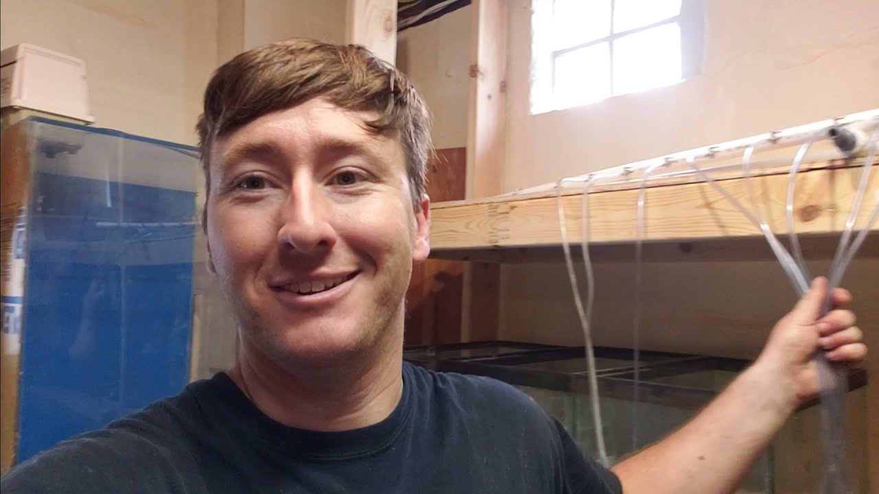 How to Build a Fish Room : pt 3 DIY Air Loop